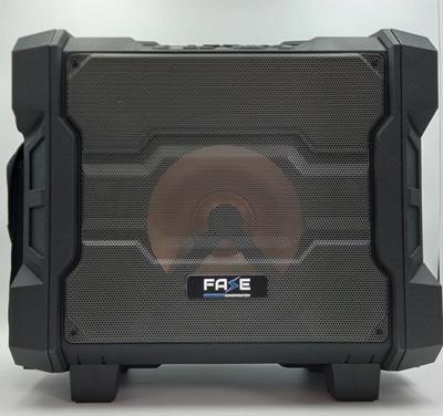 Pack sono portable Enceinte amplifiée 300W, micro