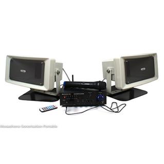 PACK SONO VEHICULE 100W + MICRO HF