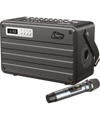 Combo Portable Autonome Micro UHF 100Watts