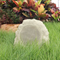 [new] SODEL-O-AER-301T-O-AER-301T-3.png