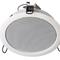 [new] haut-parleur-plafond-10w-en-100v.jpg