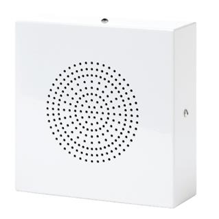 Rondson WS 501 Haut Parleur Plafond Mur 6 Watts