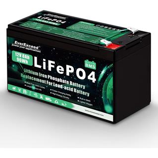 Batterie Lithium 12V 8A BMS