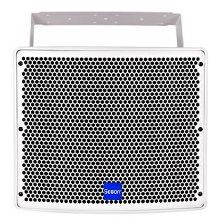 Segon JS-FWT12B Enceinte IP66 300 Watts