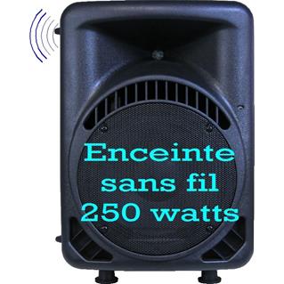 Enceinte Sans Fil  EN 22HF 250 Watts