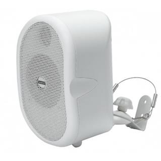 Enceinte Murale CSB 30T WH 30 W