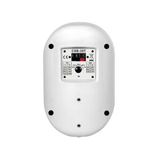 Enceinte Murale CSB 30T WH 30 W