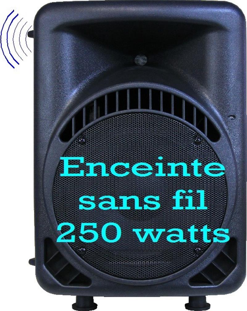 Enceinte sans fil EN 22HF