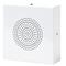 WS 501 - Haut Parleur Mur / Plafond 6 Watts